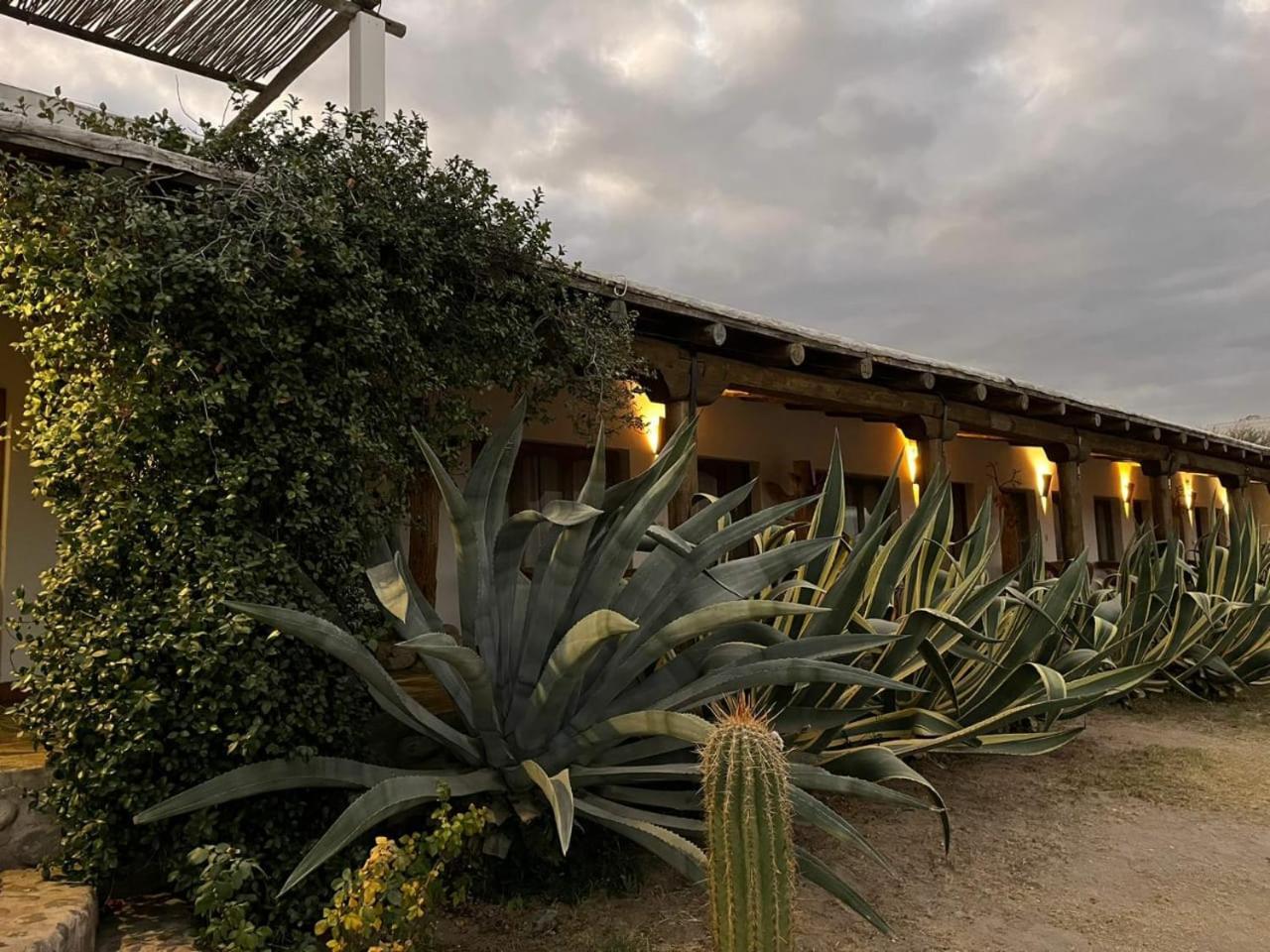 Hotel Texas Cafayate Esterno foto